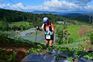 BIB: 
                            <button type="button" onclick="openModal(13382160)" class="btn btn-primary btn-sm float-right btn-popup" data-toggle="modal" data-target=".modal-high-quality">
                        <i class="fas fa-shopping-cart"></i> Add to Cart
                    </button>
                                            <button type="button" onclick="isThisMe(13382160, true)" class="btn btn-success btn-sm float-right btn-popup btn-isme hidden" data-toggle="tooltip" data-placement="bottom" title="นี่คือรูปของคุณใช่ไหม คลิกที่นี่เพื่อเอาเข้าอัลบั้ม">
                        <i class="fas fa-plus"></i> Add to album
                    </button>
                    <button type="button" onclick="isThisMe(13382160, false)" class="btn btn-warning btn-sm float-right btn-popup btn-isnotme hidden">
                        <i class="fas fa-ban"></i> Remove from album
                    </button>